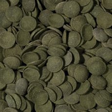 Tropical Green Algae Wafers 500 g (kimért)