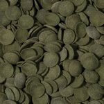 Tropical Green Algae Wafers 100 g (kimért)